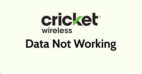 cricket wireless login not working